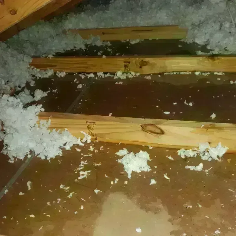 Attic Water Damage in Andrews, SC