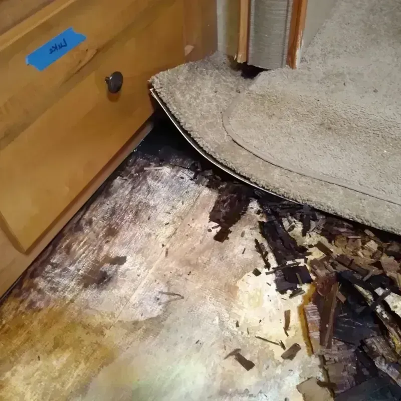 Wood Floor Water Damage in Andrews, SC